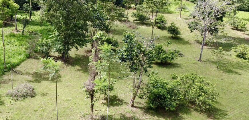 Ideal Osa Peninsula Property for Estate or Homestead