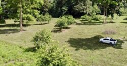 Ideal Osa Peninsula Property for Estate or Homestead