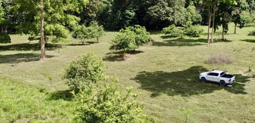 Ideal Osa Peninsula Property for Estate or Homestead