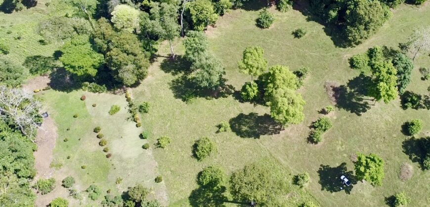 Ideal Osa Peninsula Property for Estate or Homestead