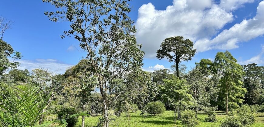 Ideal Osa Peninsula Property for Estate or Homestead