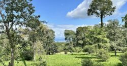 Ideal Osa Peninsula Property for Estate or Homestead