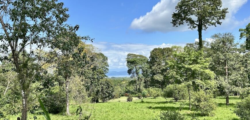 Ideal Osa Peninsula Property for Estate or Homestead