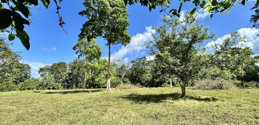 Ideal Osa Peninsula Property for Estate or Homestead