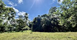Ideal Osa Peninsula Property for Estate or Homestead