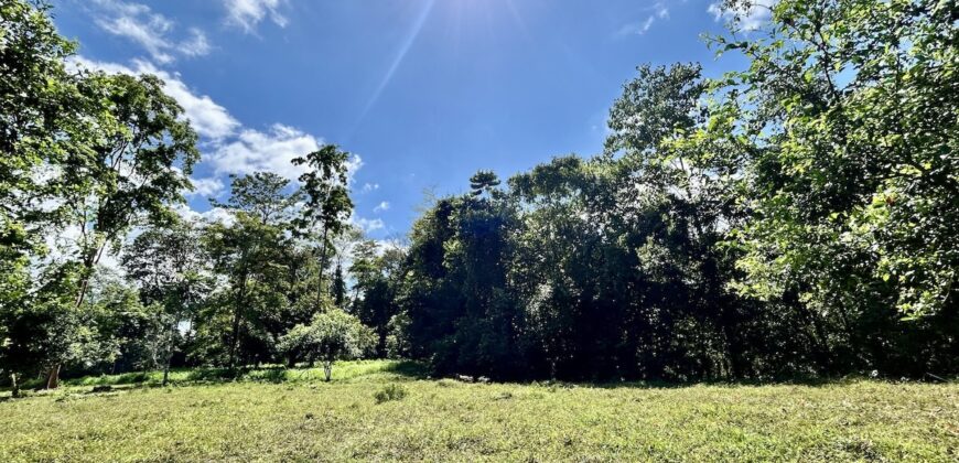 Ideal Osa Peninsula Property for Estate or Homestead