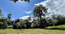 Ideal Osa Peninsula Property for Estate or Homestead