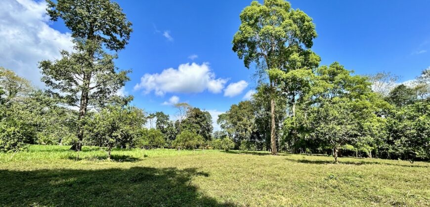 Ideal Osa Peninsula Property for Estate or Homestead