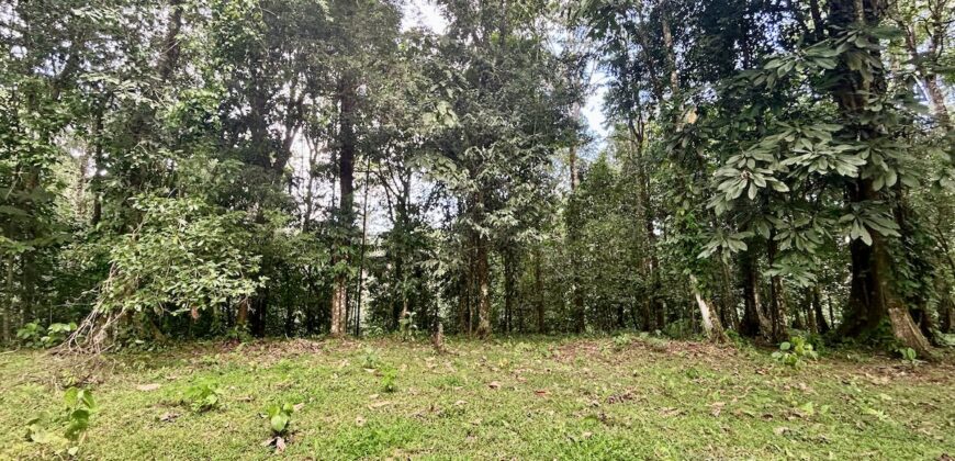 Ideal Osa Peninsula Property for Estate or Homestead