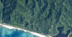 Spectacular Rainforest and Ocean View Retreat