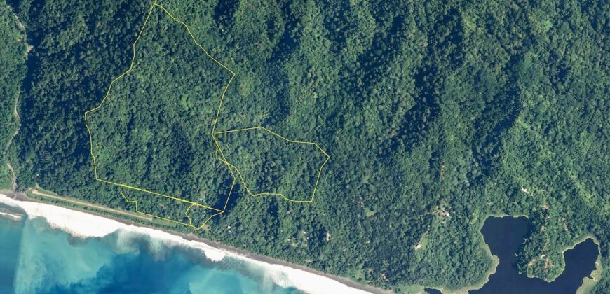 Spectacular Rainforest and Ocean View Retreat