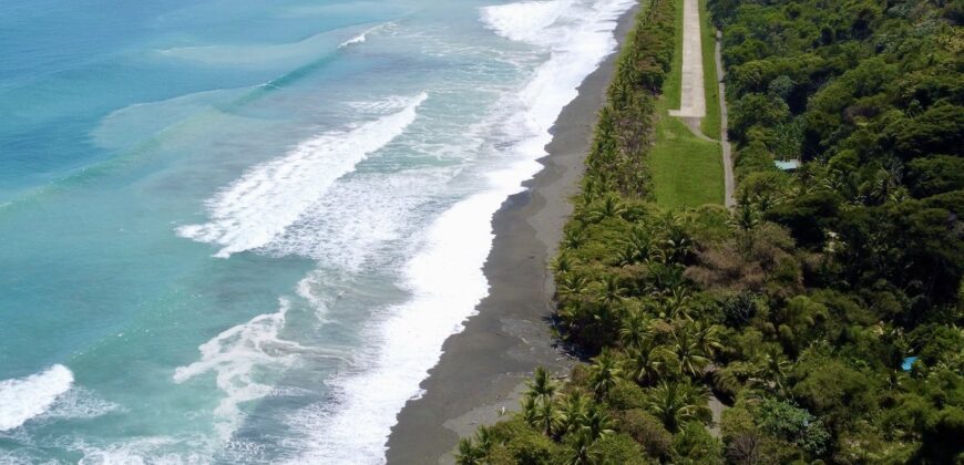 Spectacular Rainforest and Ocean View Retreat