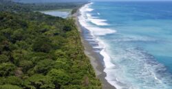 Spectacular Rainforest and Ocean View Retreat