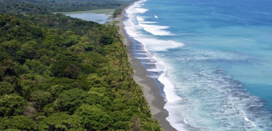 Spectacular Rainforest and Ocean View Retreat