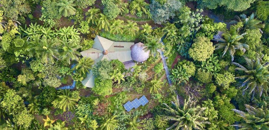 Spectacular Rainforest and Ocean View Retreat