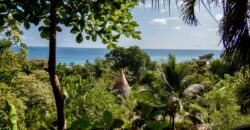 Spectacular Rainforest and Ocean View Retreat