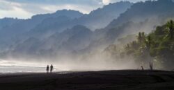 Spectacular Rainforest and Ocean View Retreat