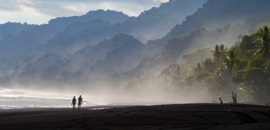 Spectacular Rainforest and Ocean View Retreat