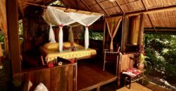 Spectacular Rainforest and Ocean View Retreat