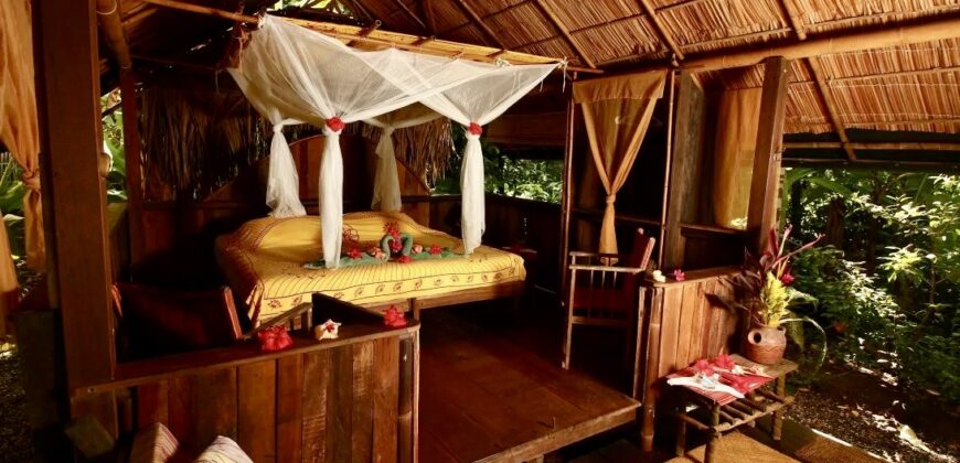 Spectacular Rainforest and Ocean View Retreat