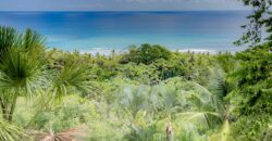 Spectacular Rainforest and Ocean View Retreat