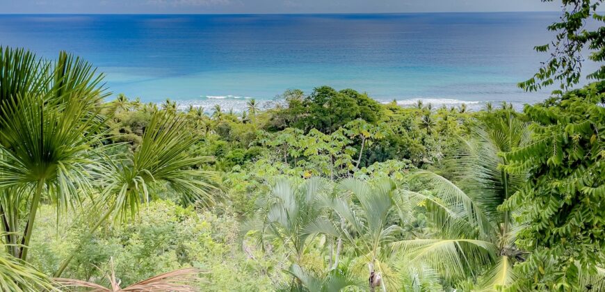 Spectacular Rainforest and Ocean View Retreat