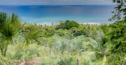 Spectacular Rainforest and Ocean View Retreat