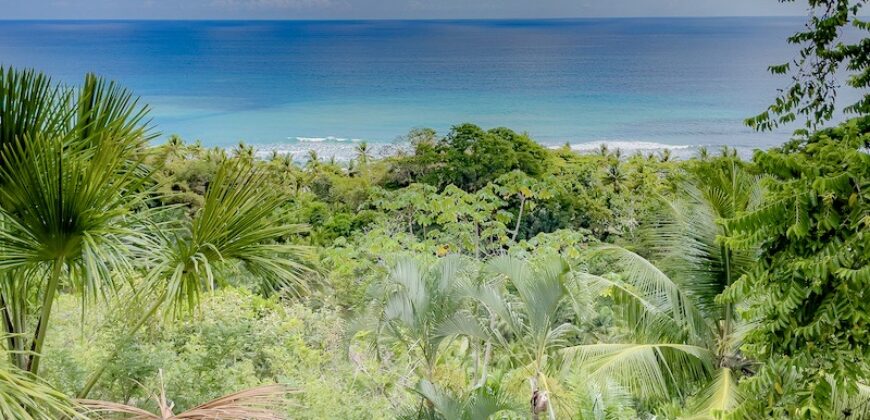 Spectacular Rainforest and Ocean View Retreat
