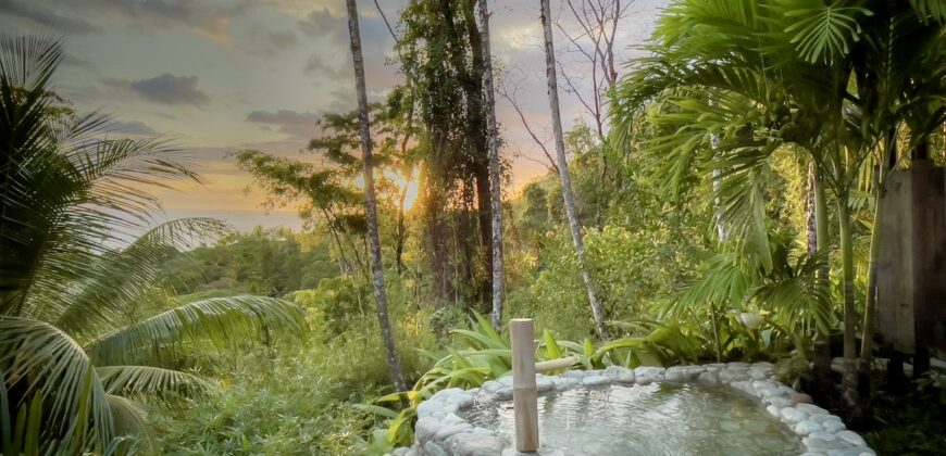 Spectacular Rainforest and Ocean View Retreat
