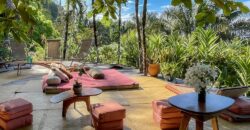 Spectacular Rainforest and Ocean View Retreat