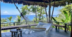 Spectacular Rainforest and Ocean View Retreat