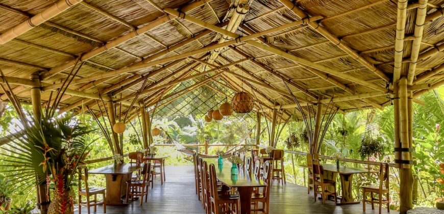 Spectacular Rainforest and Ocean View Retreat