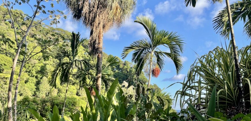Spectacular Rainforest and Ocean View Retreat