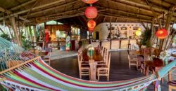 Spectacular Rainforest and Ocean View Retreat