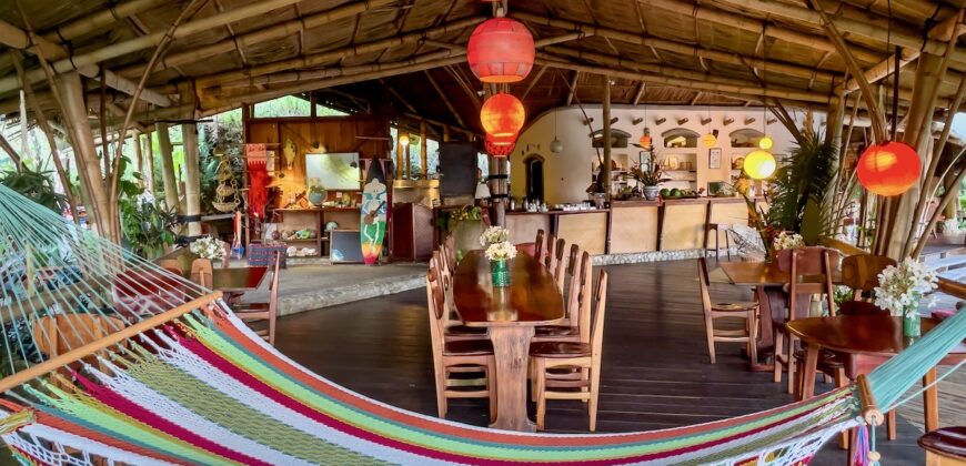 Spectacular Rainforest and Ocean View Retreat