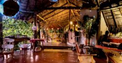 Spectacular Rainforest and Ocean View Retreat