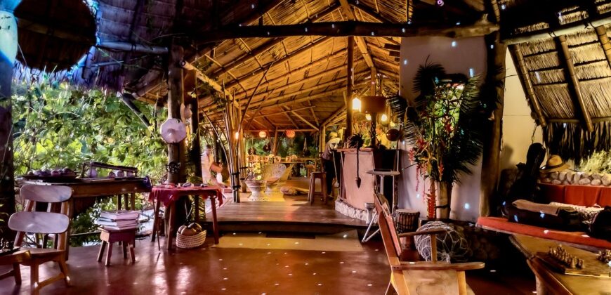 Spectacular Rainforest and Ocean View Retreat