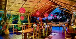 Spectacular Rainforest and Ocean View Retreat