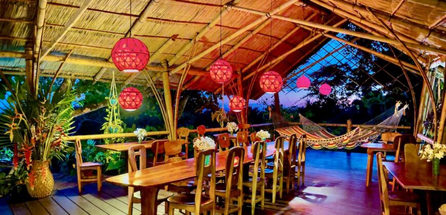 Spectacular Rainforest and Ocean View Retreat