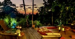 Spectacular Rainforest and Ocean View Retreat