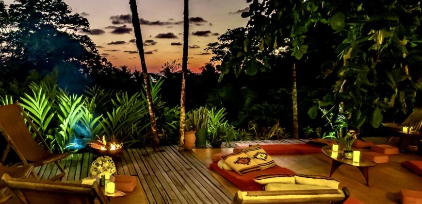 Spectacular Rainforest and Ocean View Retreat