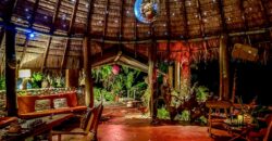 Spectacular Rainforest and Ocean View Retreat