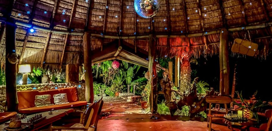 Spectacular Rainforest and Ocean View Retreat