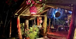 Spectacular Rainforest and Ocean View Retreat