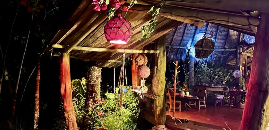 Spectacular Rainforest and Ocean View Retreat