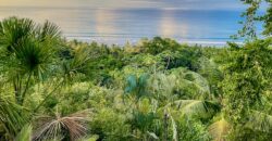 Spectacular Rainforest and Ocean View Retreat