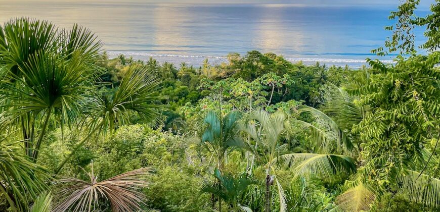 Spectacular Rainforest and Ocean View Retreat