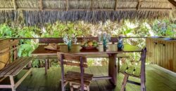 Spectacular Rainforest and Ocean View Retreat