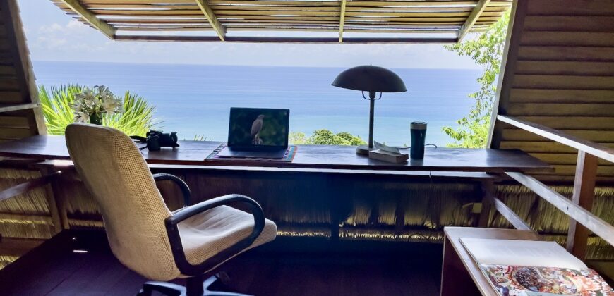 Spectacular Rainforest and Ocean View Retreat