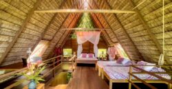 Spectacular Rainforest and Ocean View Retreat